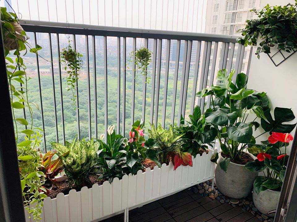 chon-cay-canh-trong-o-ban-cong-lo-gia-nhu-the-nao-onehousing-1