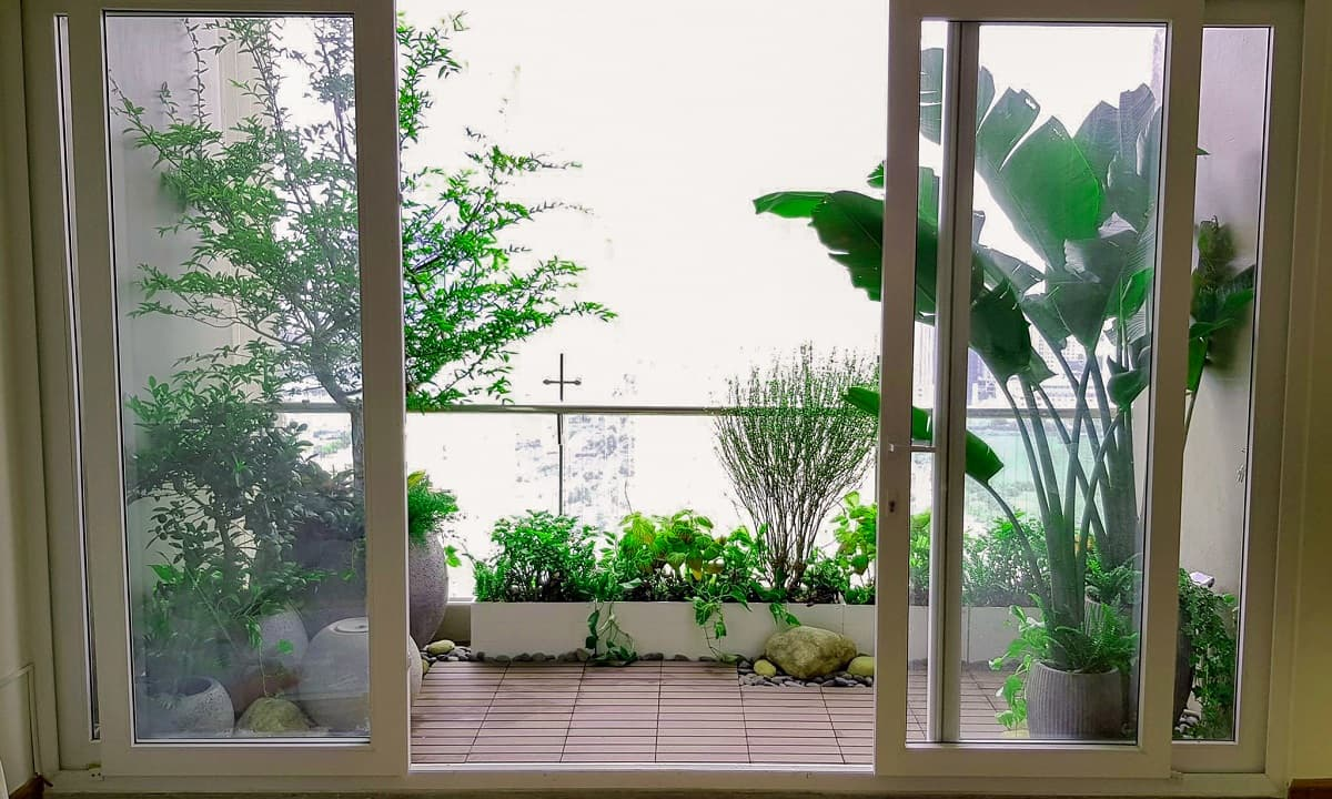 chon-cay-canh-trong-o-ban-cong-lo-gia-nhu-the-nao-onehousing-3