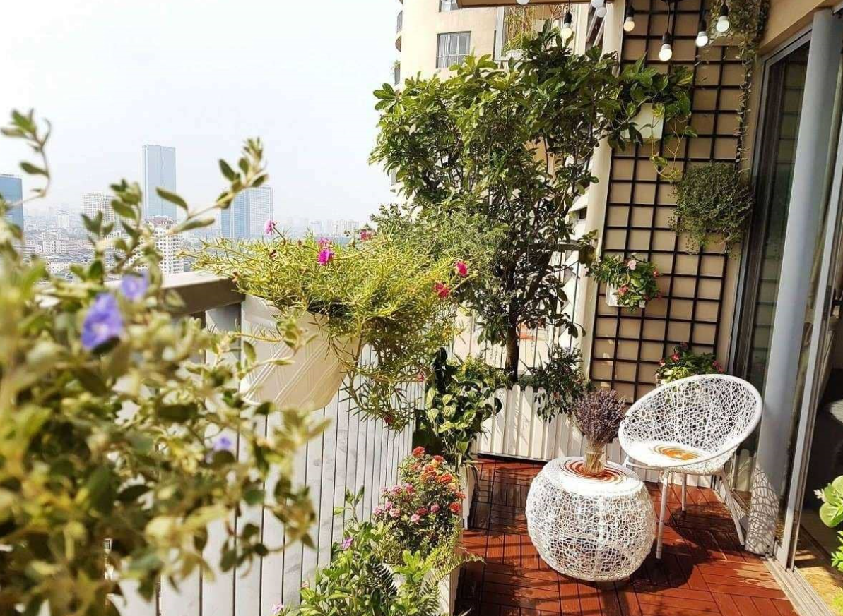 chon-cay-canh-trong-o-ban-cong-lo-gia-nhu-the-nao-onehousing-4