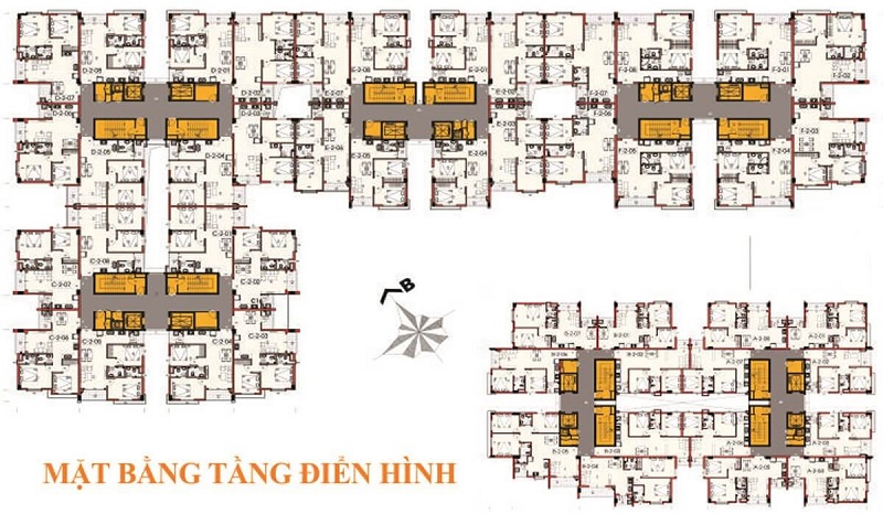 Tập đoàn Tanimex