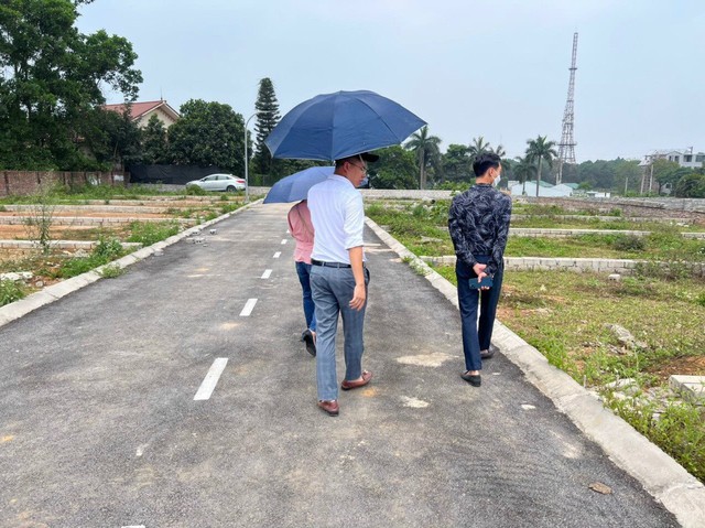 thị trường bất động sản 2025
