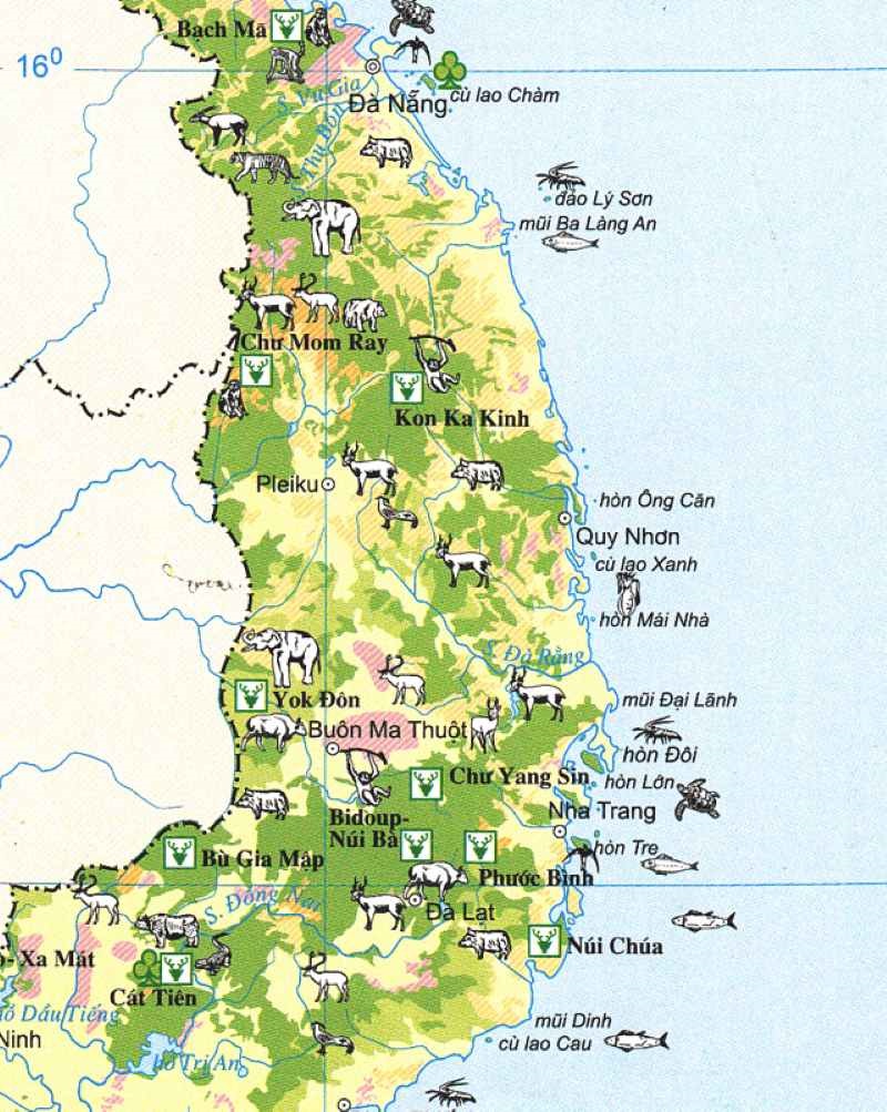 miền Trung gồm những tỉnh nào 