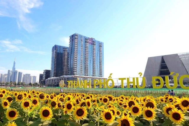 TP.HCM thực hiện sắp xếp lại các đơn vị hành chính cấp xã từ 1/7/2025