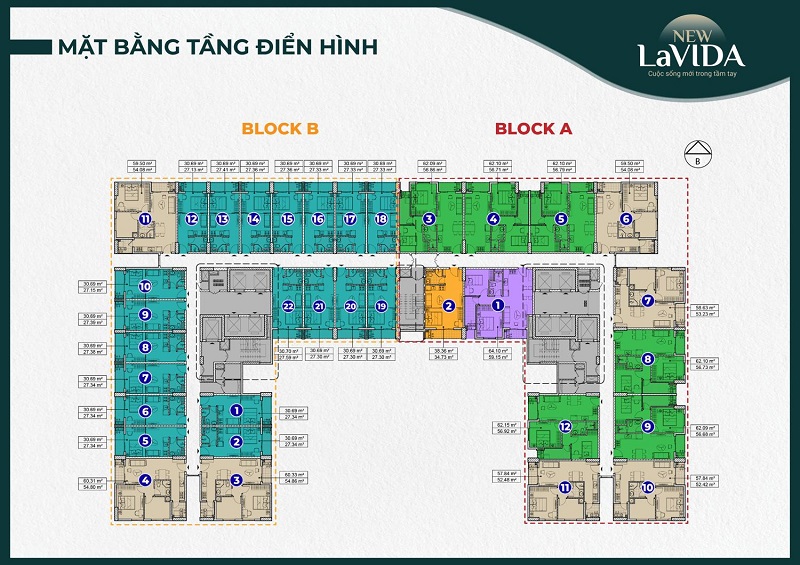 NOXH New Lavida Bình Dương