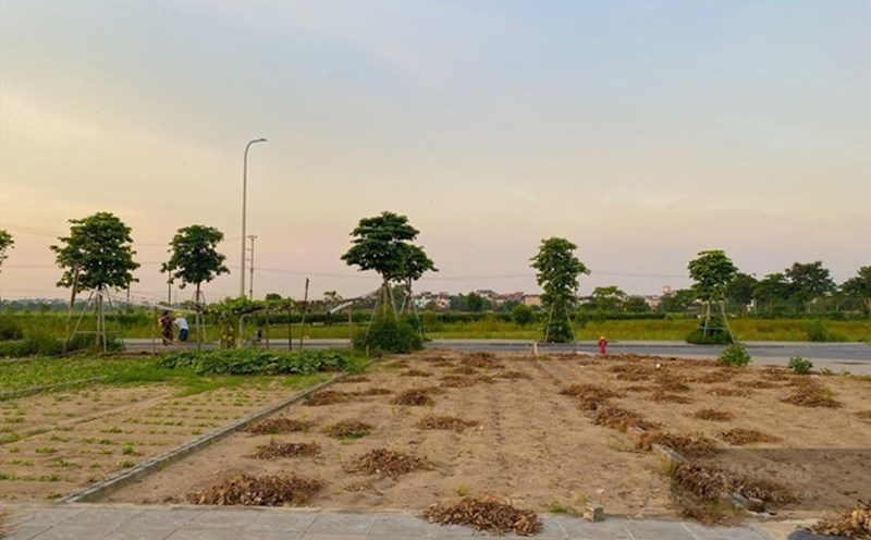 Thị trường đất nền tăng nhiệt, cơ hội nào cho nhà đầu tư?
