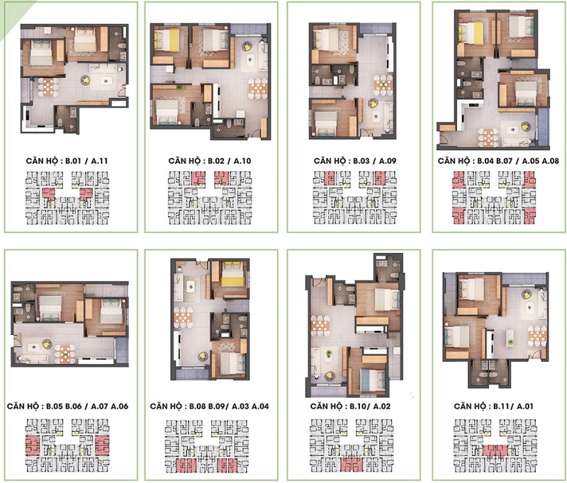 Layout các căn hộ mẫu