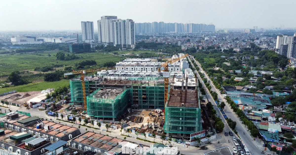 Đầu tư căn hộ an toàn 2026